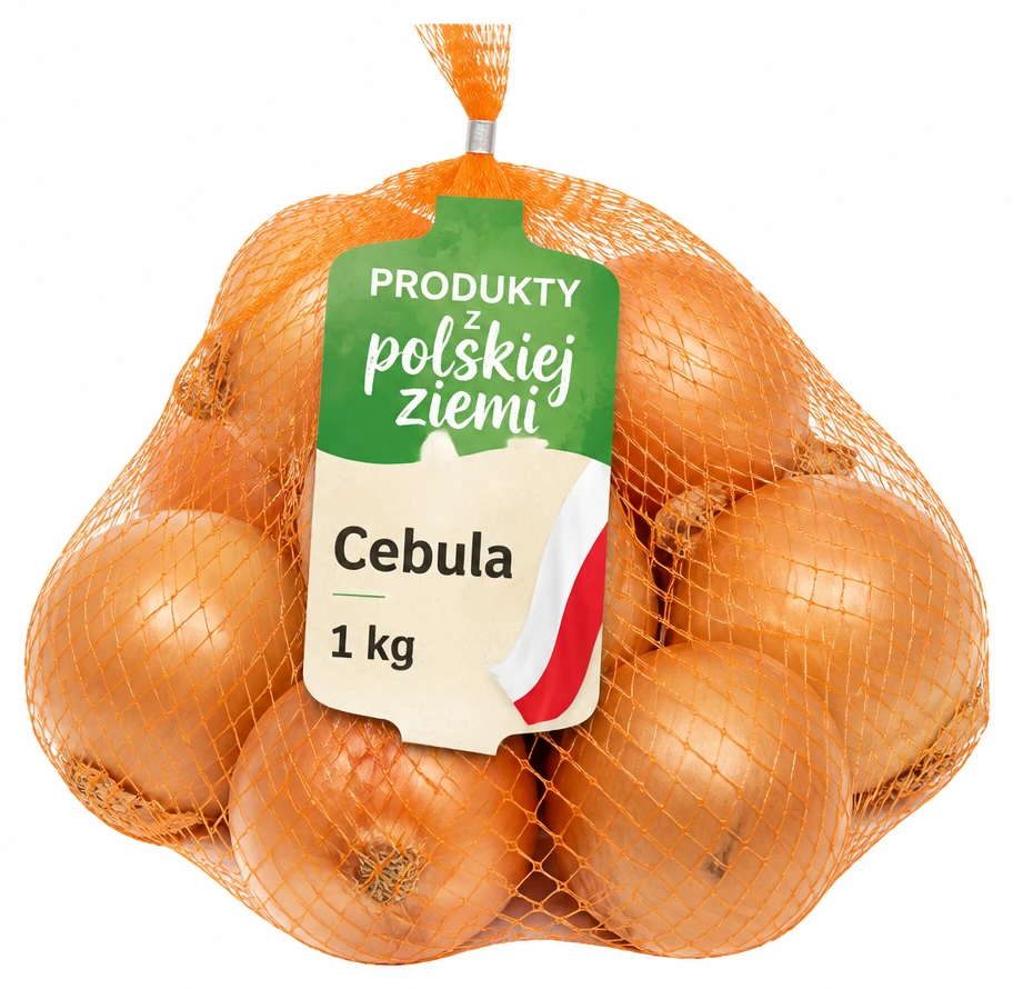 Cebula