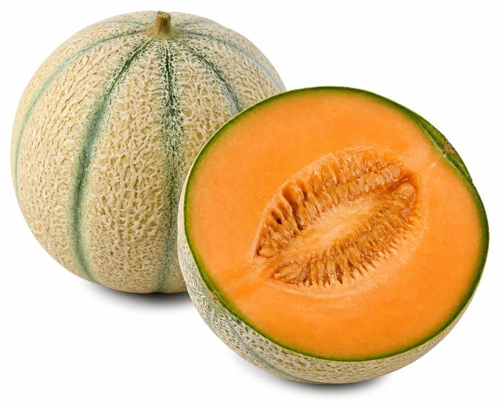 Melon