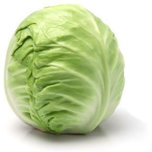 Kapusta biała