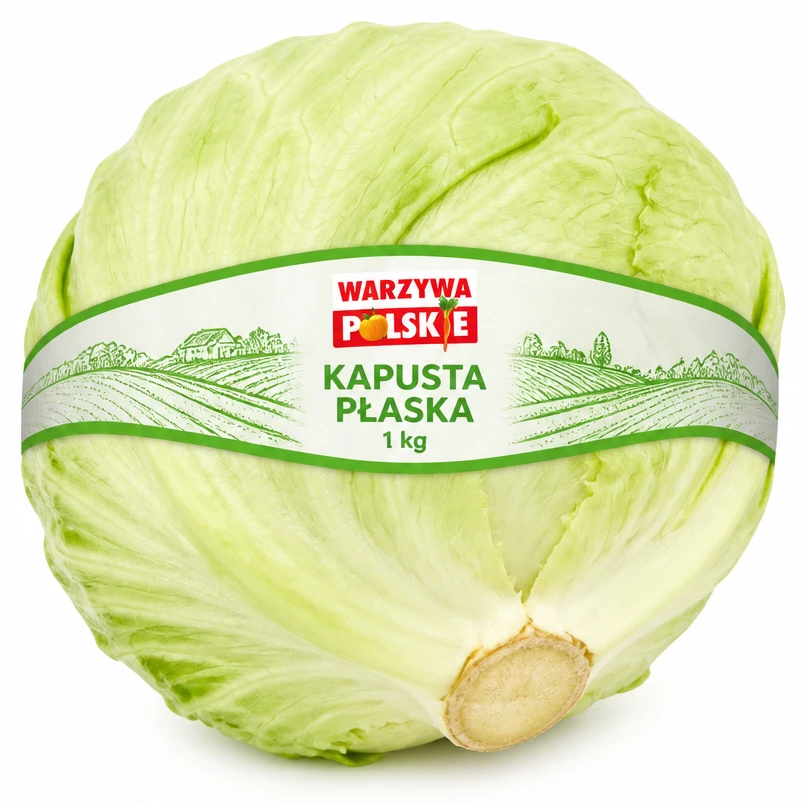 Kapusta płaska