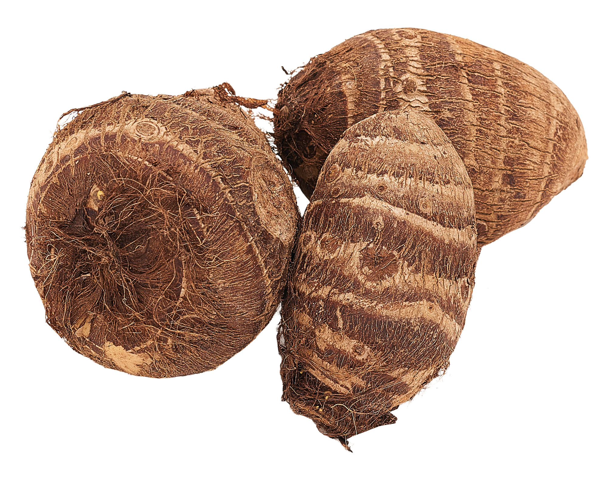 Eddo Kostaryka 500G