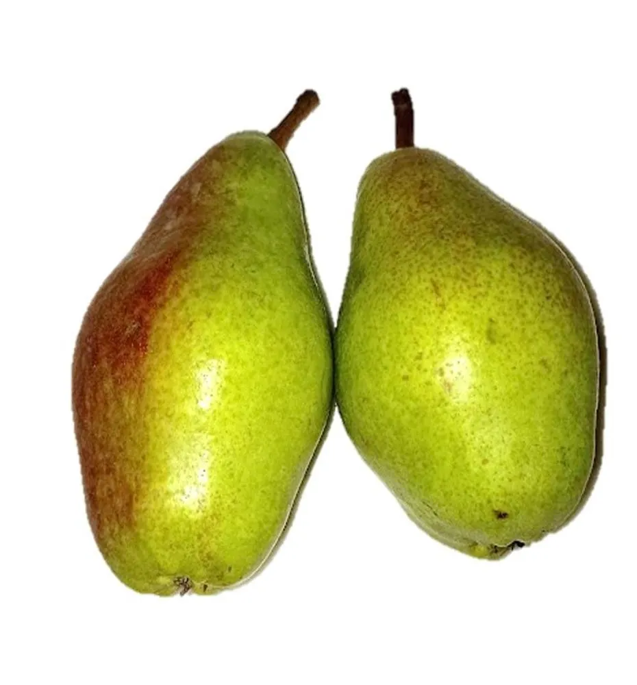 GRUSZKI KLAPSA