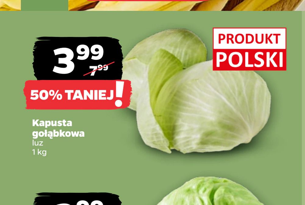 Kapusta gołąbkowa