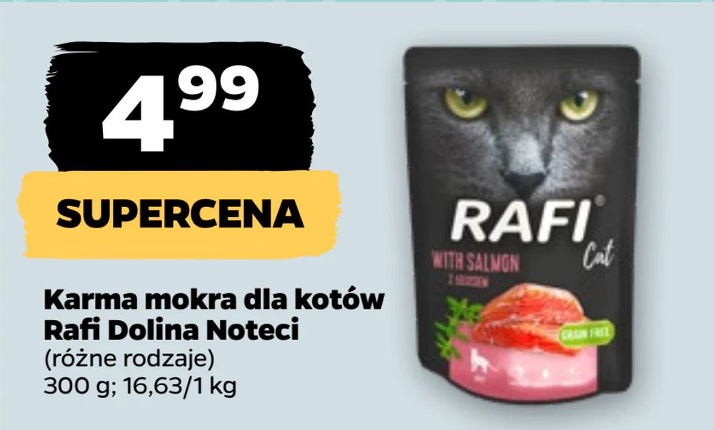 Karma mokra dla kotów Rafi Dolina Noteci