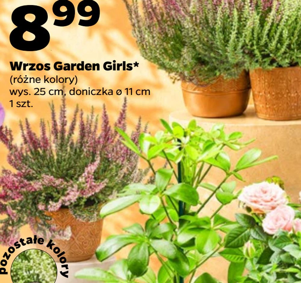 Wrzos Garden Girls*