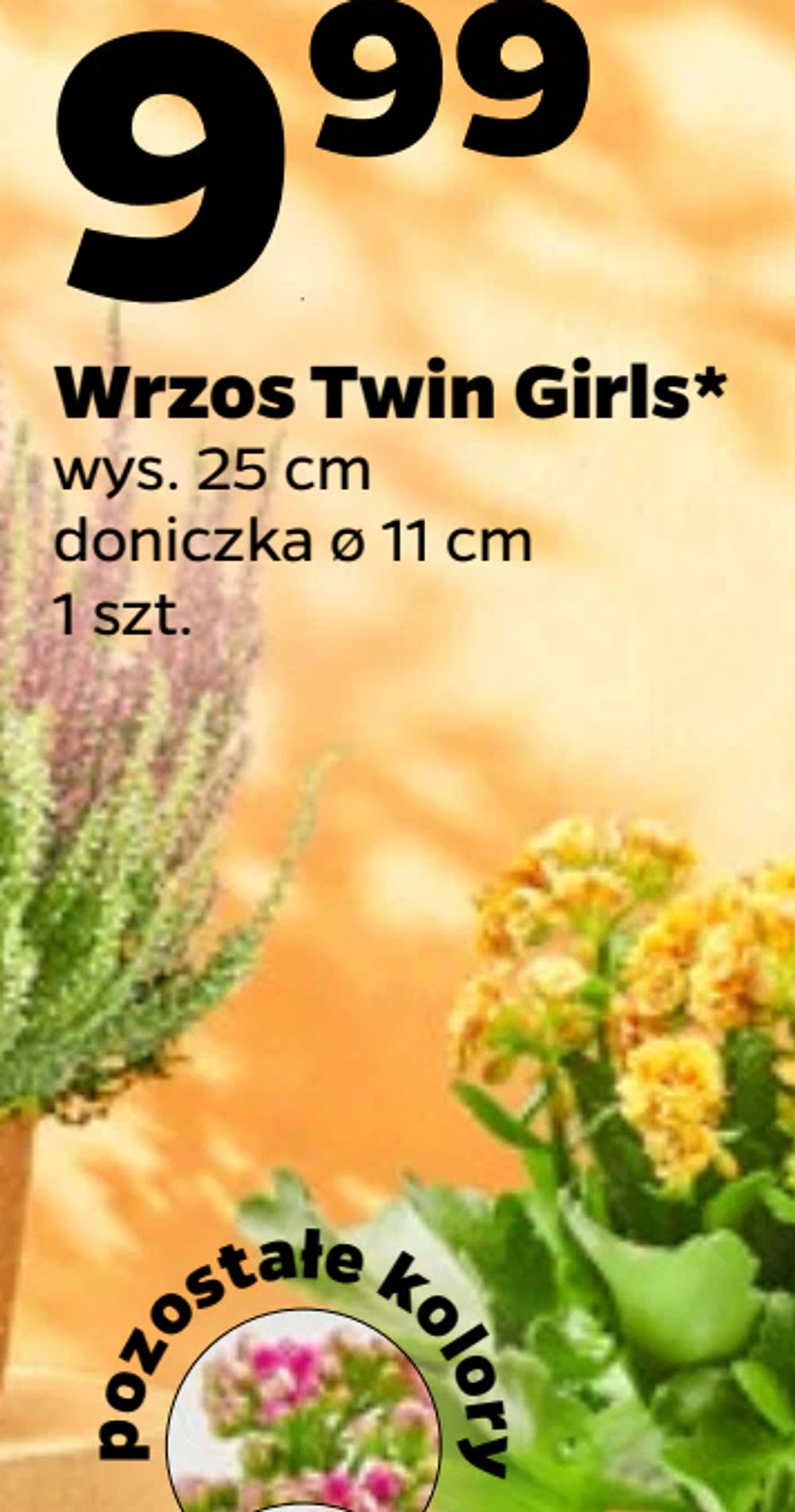 Wrzos Twin Girls*