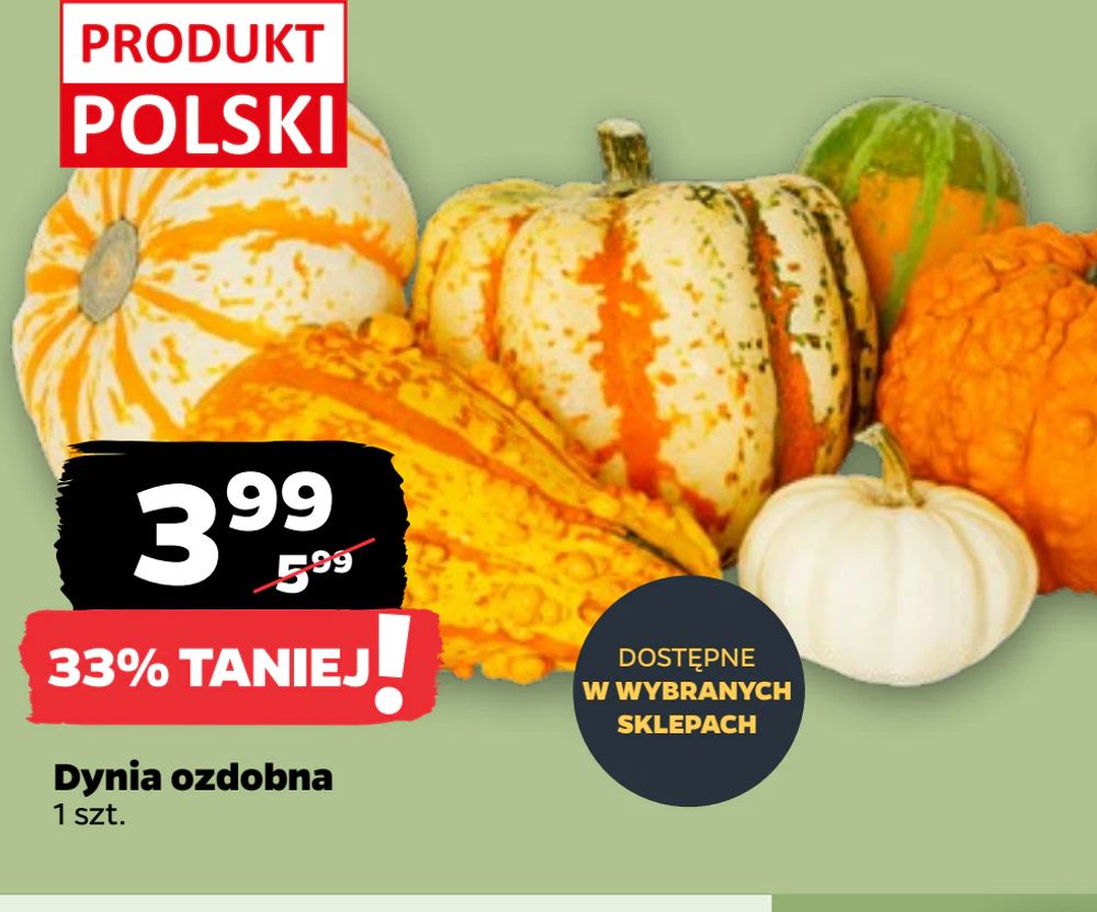 Dynia ozdobna